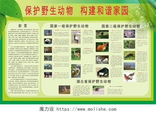 绿色背景保护野生动物维护生态安全海报